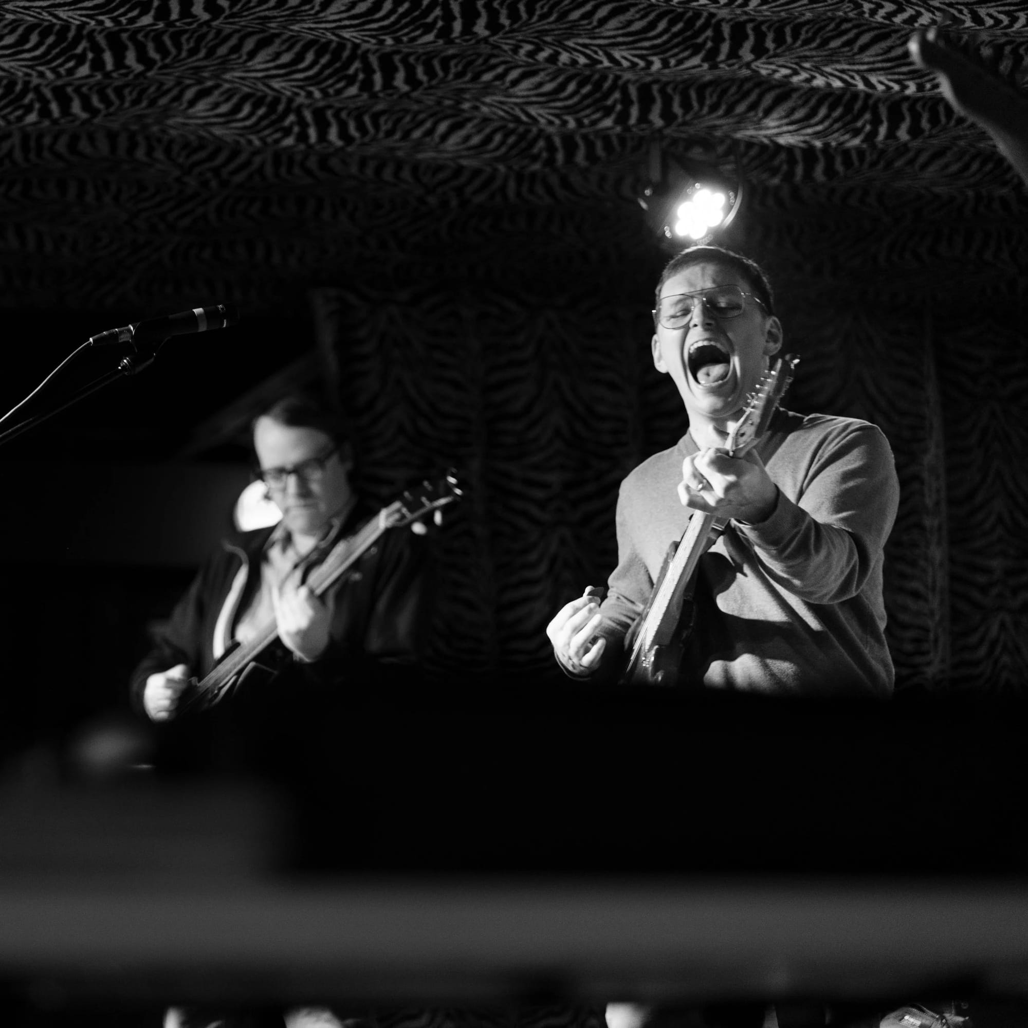 Tennessee Screamers @ Hernando's Hideaway